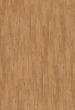 Expona Domestic Wood 5953
